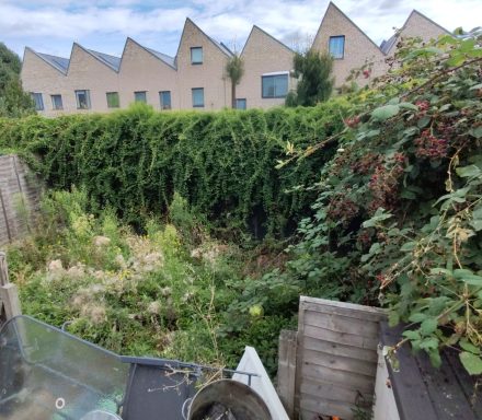 Woods Gardening Service - WGS - Sutton, GB-ENG, Hedge cutting and reduction